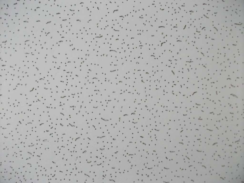 What Is The Difference Between Perforated And Non-Perforated Ceiling Tiles?