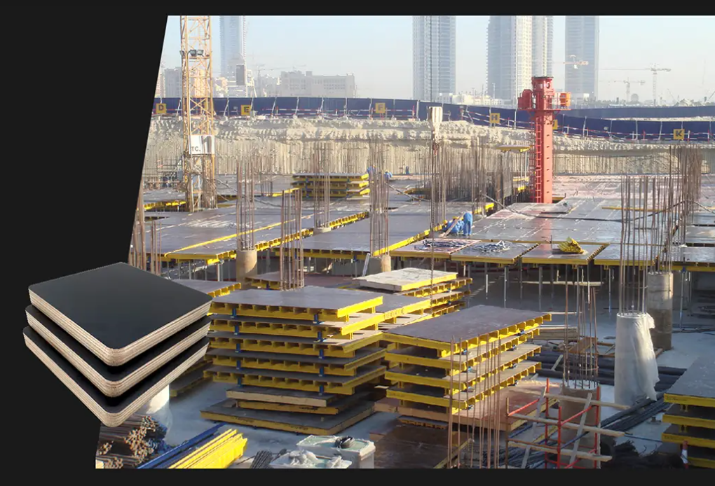 Premium plywood products showcase